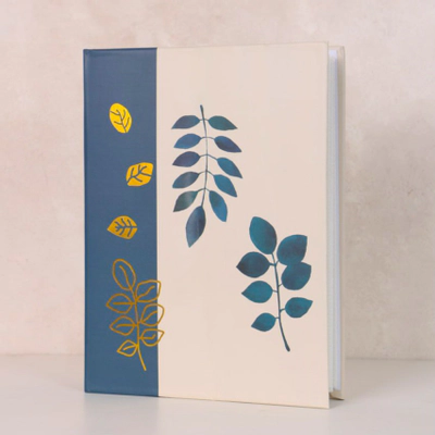 آلبوم پاکتی خارجی (10*15) طرح 207